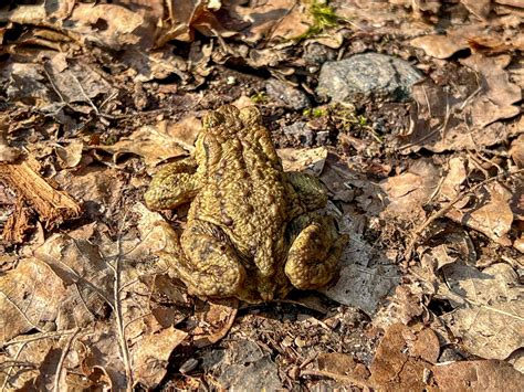 30 myths people (somehow) still believe