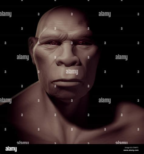 Erectus hi-res stock photography and images - Alamy