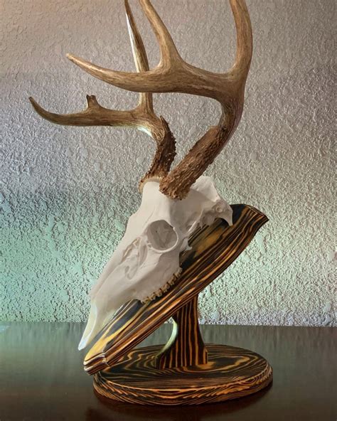 Oval Tabletop Pedestal - Etsy UK | Deer skulls, Deer skull decor, Deer ...