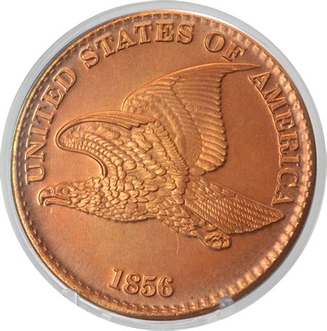 Amazon.com: 1856 Flying Eagle Cent Design 1 oz Pure .999 Copper Round ...