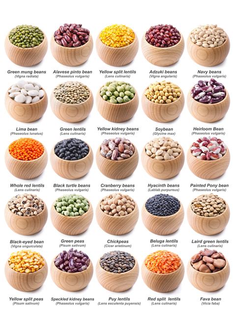 The Ultimate List Of Legumes You Need To Know