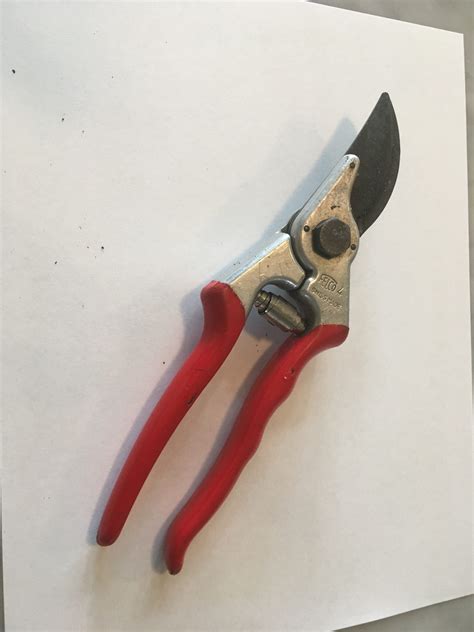 Upgrade Your Gardening with Quality Pruners! | Gardening in the Panhandle