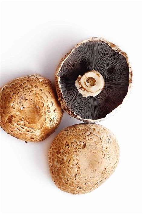 Portobello mushroom: everything you need to know - Rhubarbarians