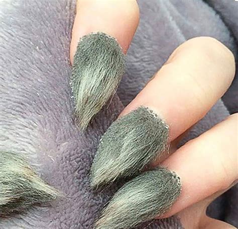 10 Furry Nails Art The Latest Nail Trend That Compliments Insanity