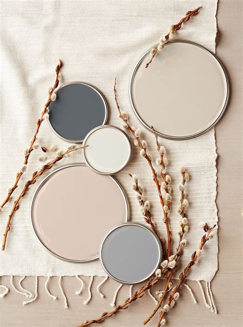 Neutral Paint Colors For Interior Walls | Cabinets Matttroy