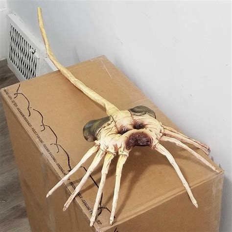 Best Poseable Alien Facehugger Lifesized for sale in Regina ...