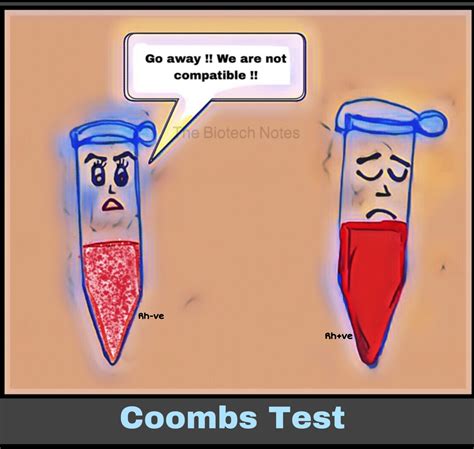 Coombs test. – The Biotech Notes