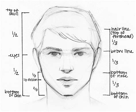Start Drawing: Techniques for Pencil Portraits | Pencil portrait, Pencil drawings, Face proportions - Sketching Human Face