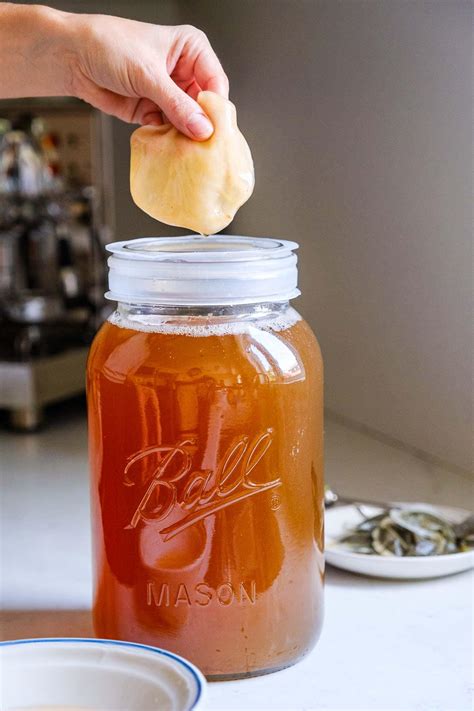 How To Make Coffee Kombucha