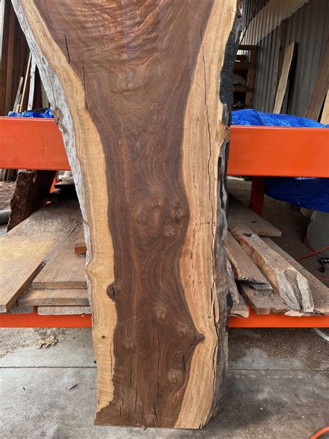 Walnut Wood Slab 73 1/2" x 22" x 1 5/8" - Frison-Logue Hardwoods