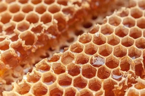 Can You Eat Honeycomb? – The Food Safety Dad