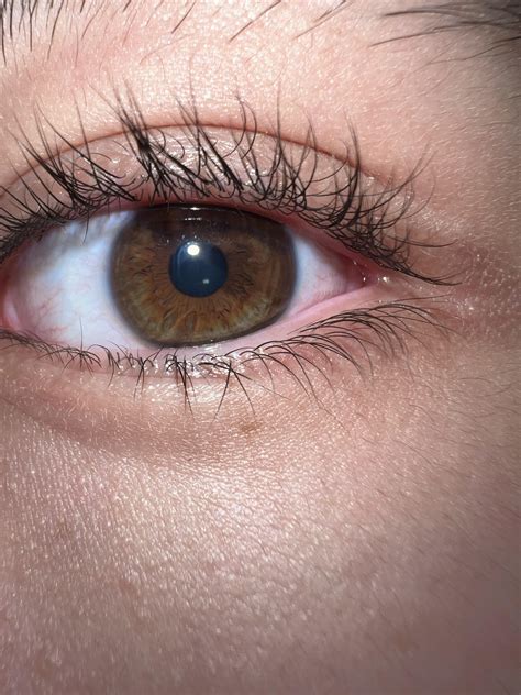 Hazel Brown Eyes What Are The Rarest Coloured Eyes? Glasses Direct