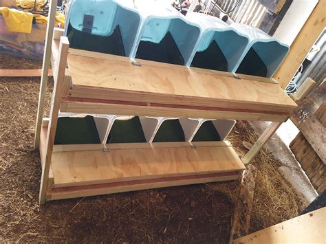 DIY Roll Away Nesting Boxes: The Complete Guide for Backyard Chicken ...