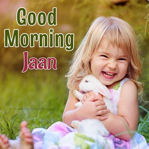 Heartfelt Greetings: Good Morning Mama Ji Images Galore - Good Morning ...