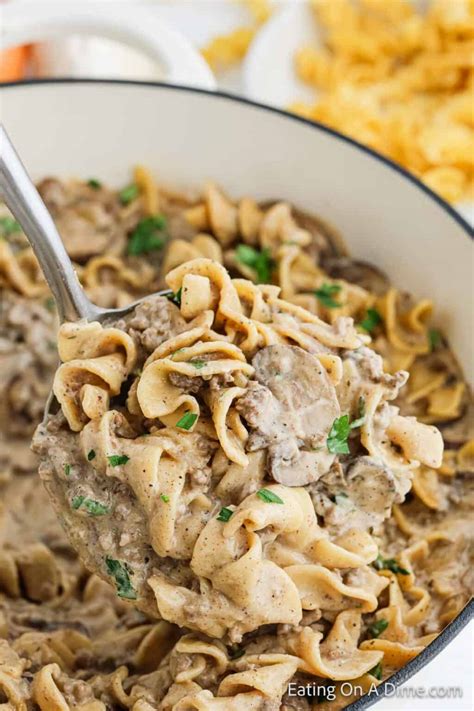Hamburger Helper Stroganoff - Eating on a Dime