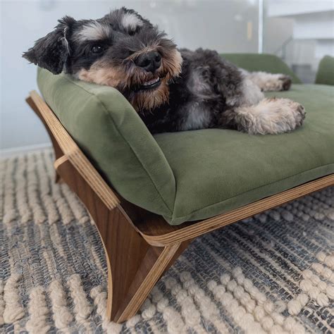 Medium Dog Bed, Medium Size, High-end Dog Bed, Luxury Wood Raised Pet ...