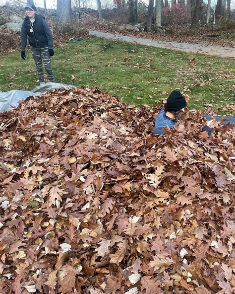 The Farm School (@the_farm_school) • Instagram photos and videos