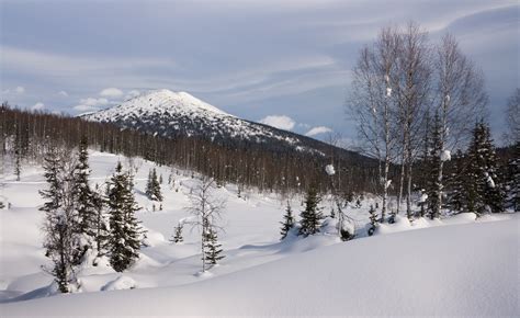 Free Images : landscape, tree, nature, forest, snow, cold, hill ...