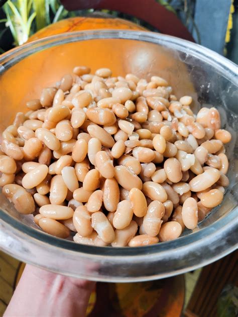 Quick Soak Mayocoba Beans - Catfish Out of Water