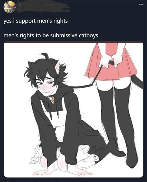 Cat boy rights : r/SubmissiveMaleHentai