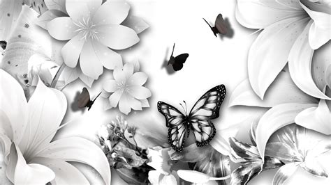 Black and White Butterfly Wallpapers - Top Free Black and White ...