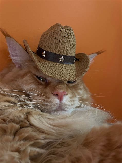 Cat Dog Stetson Cowboy Hat - Mesh With Tassels - Cool, Comfy & Cute ...