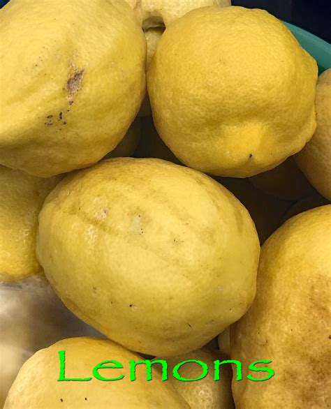 Transplanting An Old Container, Yellow Lemon & Protecting A Lawn From A ...