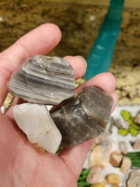 Might this be anything other than striped quartz? found in dry river bed where I find lots of ...