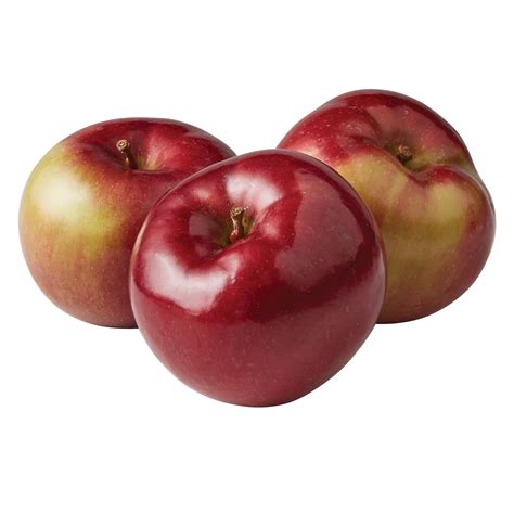 Types Of Apples _ 25 Different Types of Apples — Apple Varieties and ...