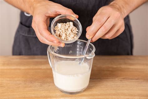 Germknödel mit Pflaumenmus-Füllung selber machen