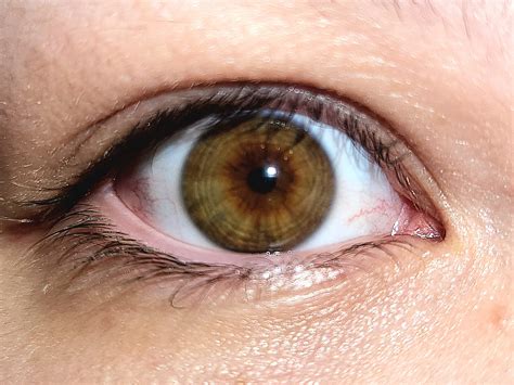 I've never had a straight answer on what color my eyes are. Brown or hazel? : r/eyes