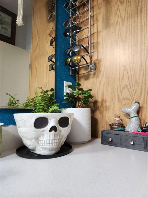 My wife is a plant ninja! Everytime I turn around there is a new plant somewhere in here. : r ...