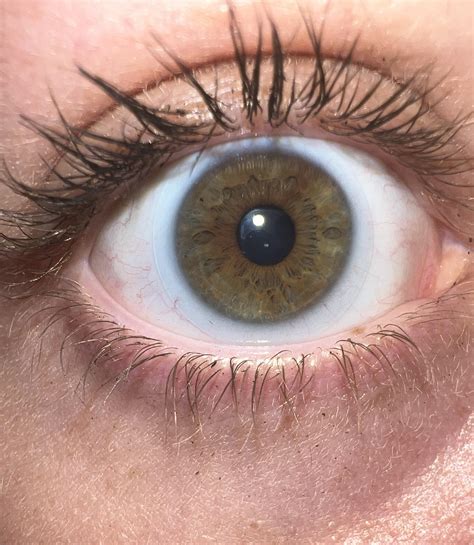 no one seems to be able to agree on what color my eyes are : r/eyes