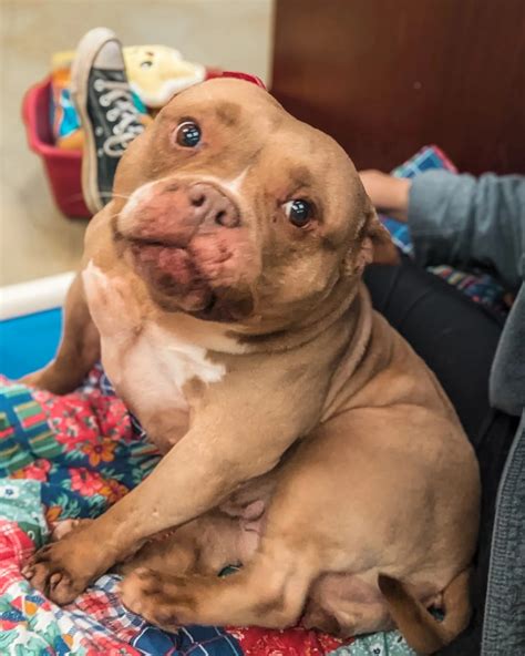 Defenders of Animal Rights (@defenders_of_animal_rights) • Instagram ...