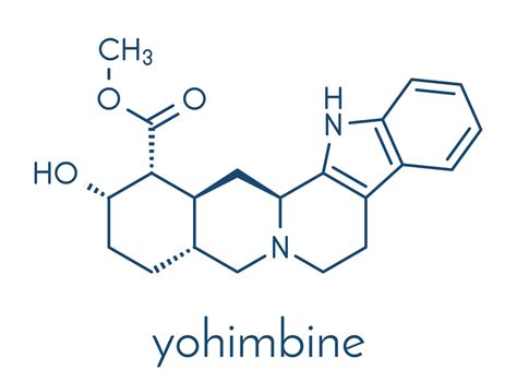 Yohimbine for Weight Loss: Everything to Know Before Taking It