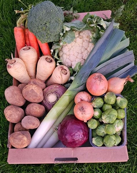 Fruit & Vegetables - Produce & Provide