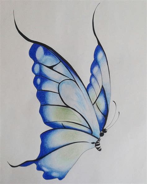 Pretty Butterfly Drawings at PaintingValley.com | Explore collection of ...
