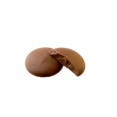 Brown Melting Milk Chocolate Wafers (Chalav Stam) - Oh! Nuts