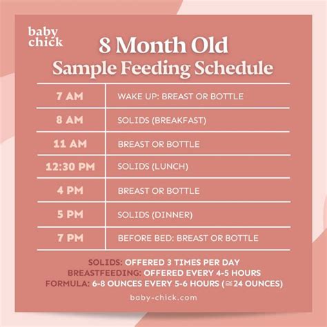 8-Month-Old Baby: Feeding, Sleep, and Milestones by Month - Baby Chick