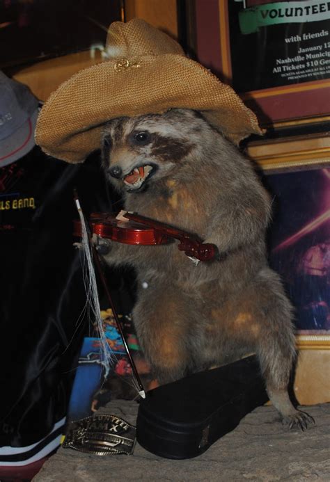 The Carpetbagger: The Raccoon Penis Bone