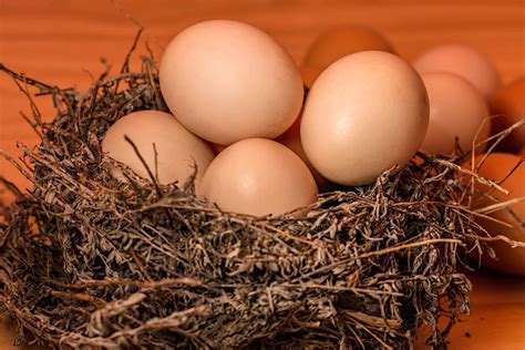 Shelf Life Of Eggs?