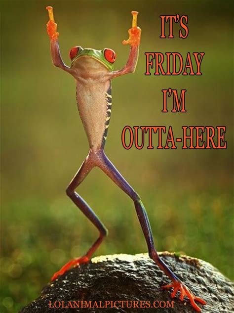 Funny Friday Pictures | funny