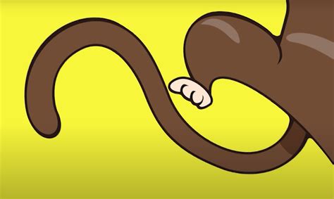 Whose tail ? Whose eyes? | Baamboozle - Baamboozle | The Most Fun ...