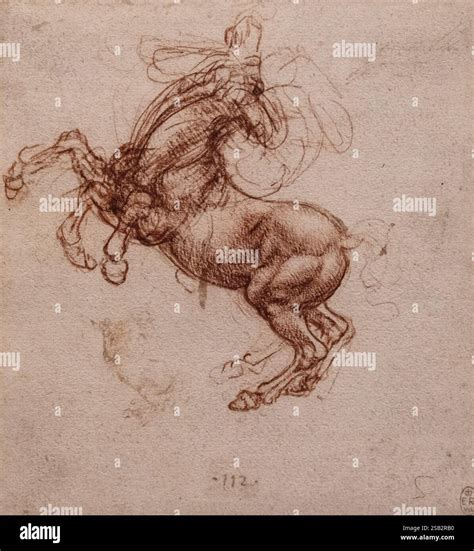 Leonardo da Vinci drawing; A Rearing Horse; 1504-5; da Vinci drawings ...