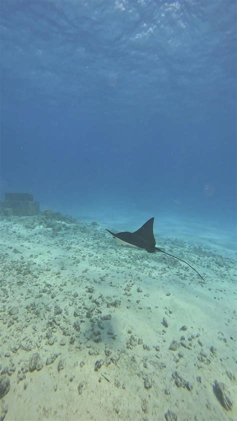 Women+Peeing+At+The+Beach Videos, Download The BEST Free 4k Stock Video Footage & Women+Peeing ...