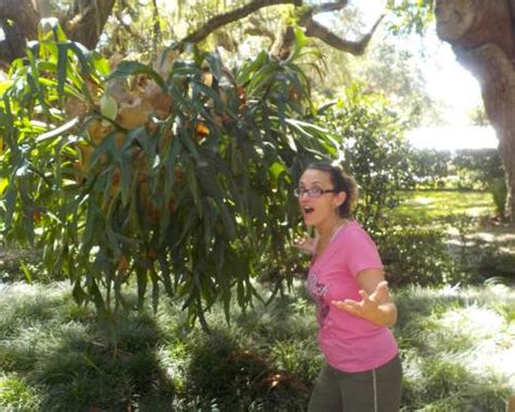 Jenna Tales Porn Videos