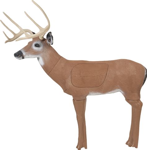 BlackOut Buck 3D Deer Archery Target | Bass Pro Shops