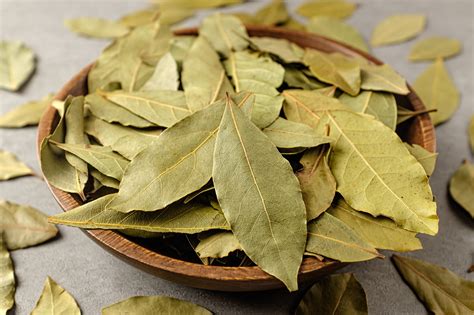 Pourquoi et comment utiliser les feuilles de laurier dans sa maison ? 5 ...