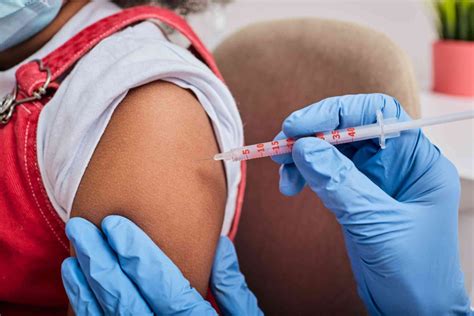 Who Needs the Rabies Vaccine and When Should You Get It? - Touchwood Pharmacy