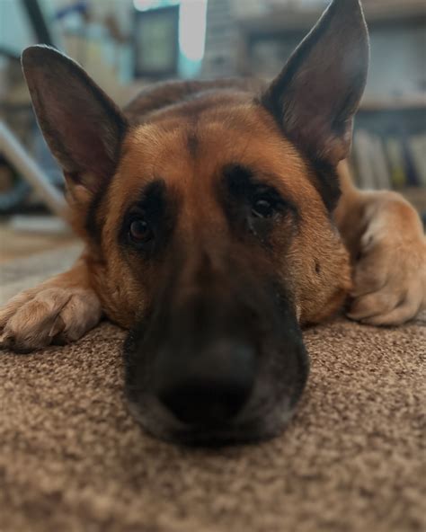 Spencer Coursen | #43 — Alyssa Magnum — “From Fire Academy Flame To OnlyFans Fame” Today on ...